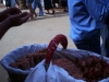 Feria_Jerez2007 207